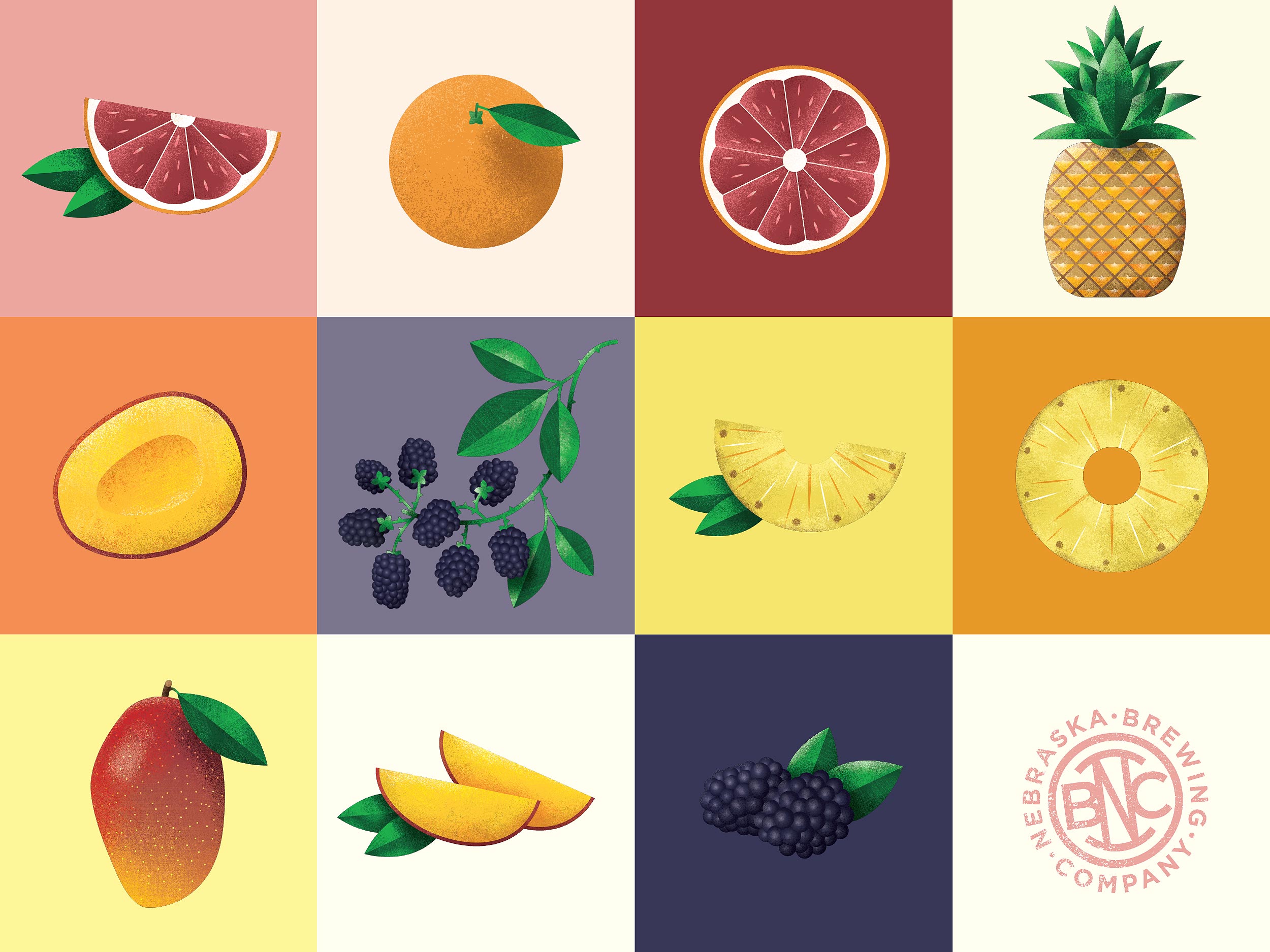 Nebraska Brewing Company Fruit Illustrations